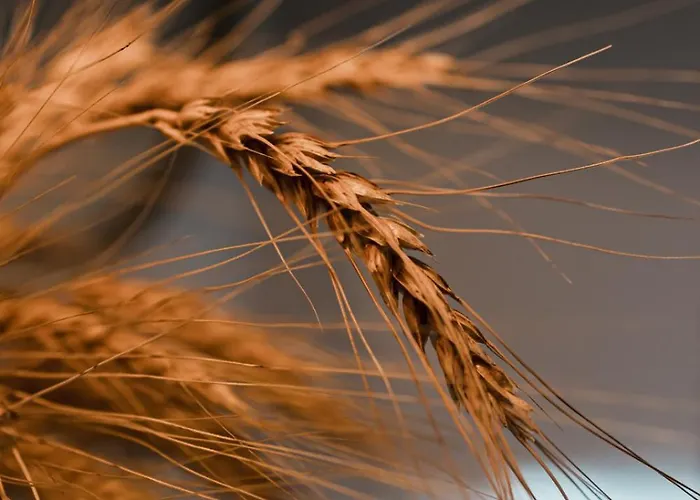 Μάραθος Appartamento